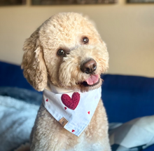 Load image into Gallery viewer, sweet romance embroidered hearts dog bandana
