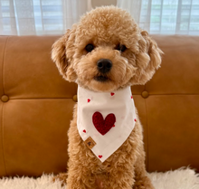 Load image into Gallery viewer, sweet romance embroidered hearts dog bandana
