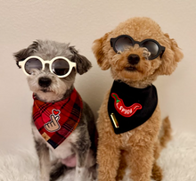 Load image into Gallery viewer, spicy chili pepper patch
