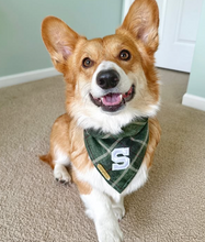 Load image into Gallery viewer, celtic plaid letterman dog bandana
