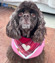 Load image into Gallery viewer, lover plaid dog bandana
