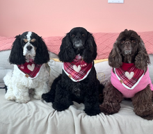Load image into Gallery viewer, lover plaid dog bandana
