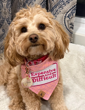 Load image into Gallery viewer, strawberry shortcake plaid dog bandana
