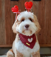 Load image into Gallery viewer, LAST CHANCE! puppy love dog bandana
