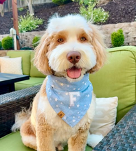 Load image into Gallery viewer, oh my stars letterman dog bandana
