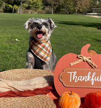 Load image into Gallery viewer, opalite flannel dog bandana
