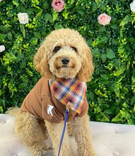Load image into Gallery viewer, apple harvest flannel dog bandana
