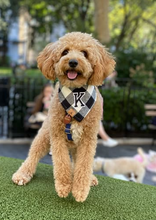 Load image into Gallery viewer, wesley flannel letterman dog bandana
