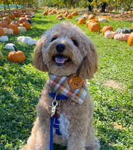 Load image into Gallery viewer, opalite flannel dog bandana
