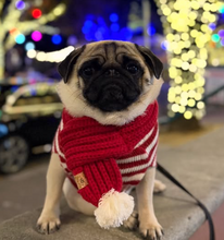 Load image into Gallery viewer, red knitted dog scarf
