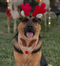 Load image into Gallery viewer, dulce de leche personalized reindeer dog bandana
