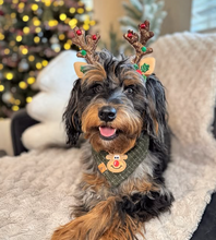 Load image into Gallery viewer, evergreen moss tweed dog bandana
