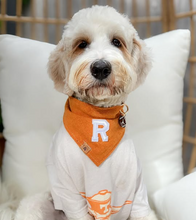 Load image into Gallery viewer, ginger herringbone letterman dog bandana
