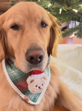 Load image into Gallery viewer, frostwood flannel dog bandana
