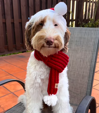 Load image into Gallery viewer, red knitted dog scarf
