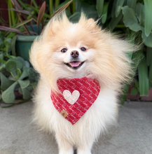 Load image into Gallery viewer, everlasting love dog bandana
