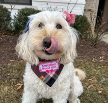 Load image into Gallery viewer, berry pop flannel dog bandana
