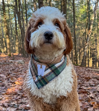 Load image into Gallery viewer, caramel apple flannel letterman dog bandana
