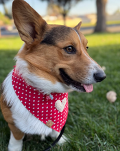 Load image into Gallery viewer, LAST CHANCE! sweetheart dog bandana
