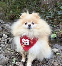 Load image into Gallery viewer, plush lion add-on
