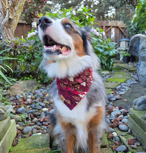 Load image into Gallery viewer, LNY prosperity dog bandana
