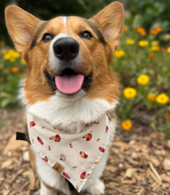 Load image into Gallery viewer, tempura tails dog bandana
