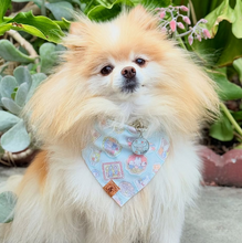 Load image into Gallery viewer, kawaii cuties light blue dog bandana
