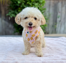 Load image into Gallery viewer, taiyaki bean dog bandana
