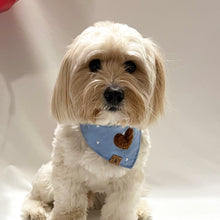 Load image into Gallery viewer, blue romance embroidered hearts dog bandana
