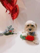 Load image into Gallery viewer, rose nosework dog toy
