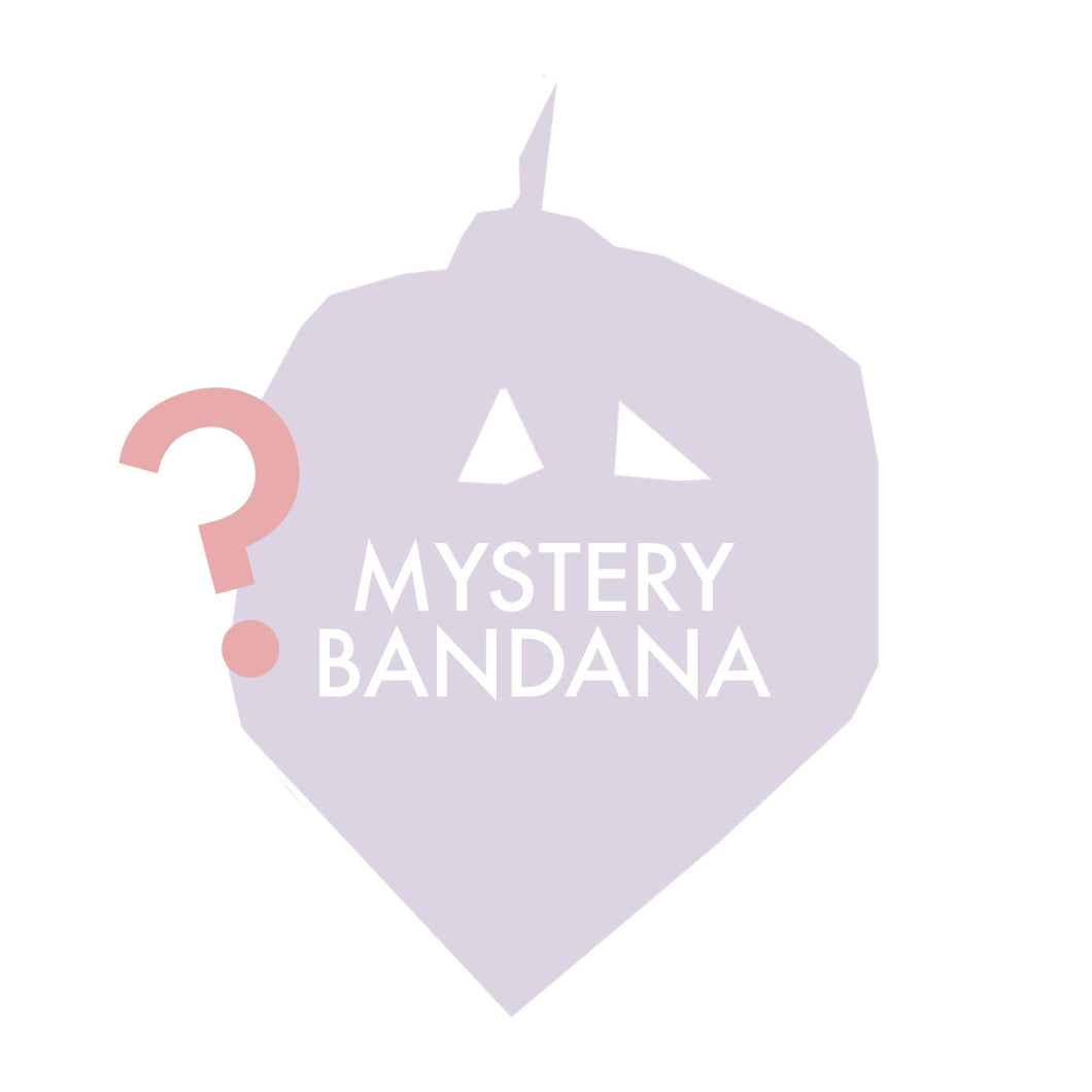 SUMMER themed mystery dog bandana