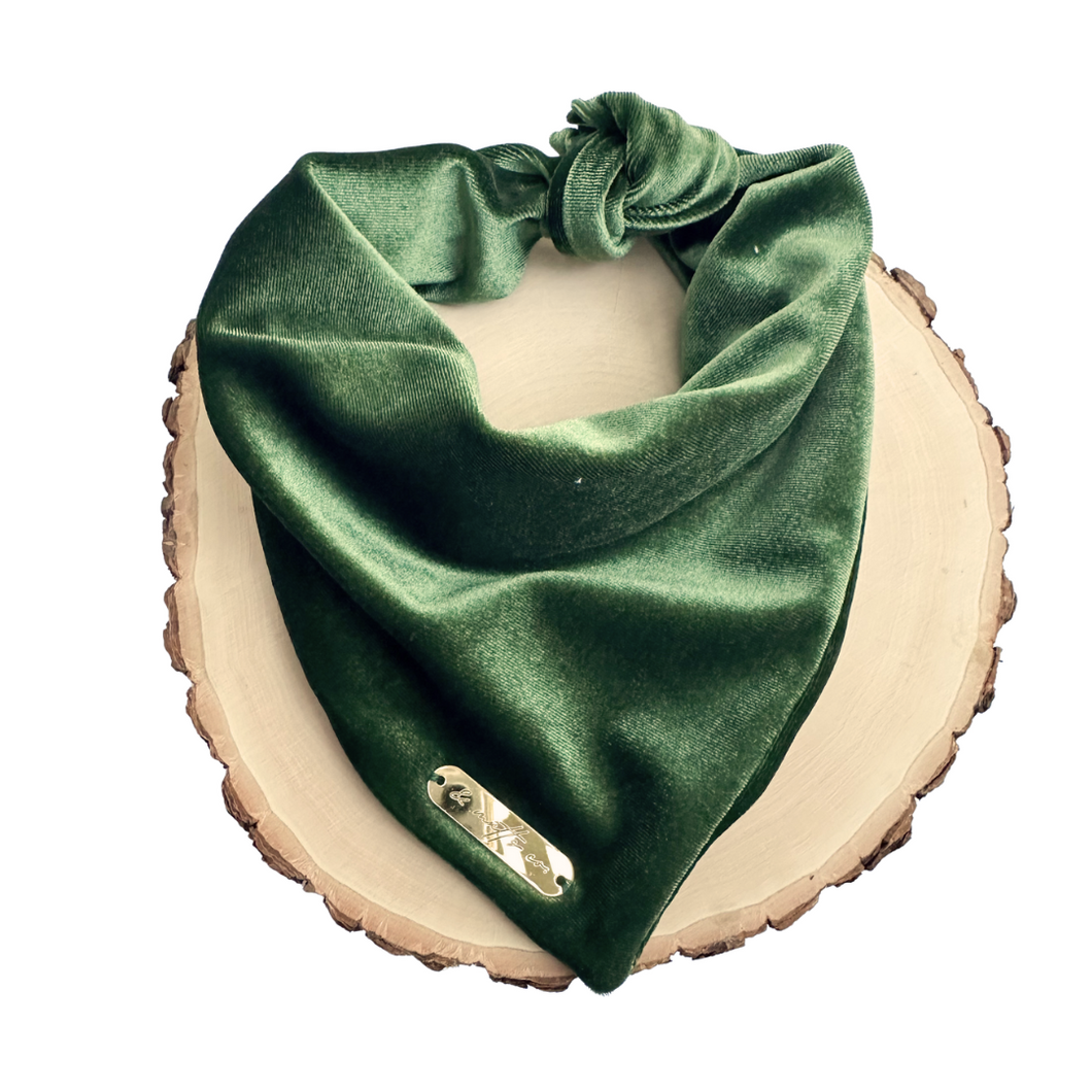 royal spruce green velvet dog bandana
