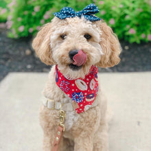 Load image into Gallery viewer, star sprinkled donut dog bandana
