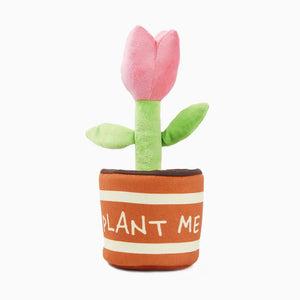 HugSmart happy tulip squeaker dog toy