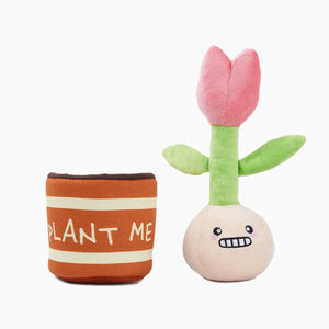 HugSmart happy tulip squeaker dog toy