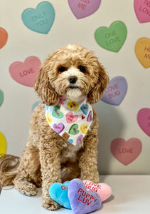 candy hearts dog bandana