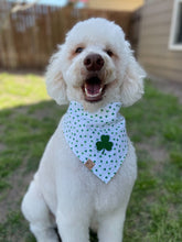 Load image into Gallery viewer, shamrock &#39;n roll dog bandana
