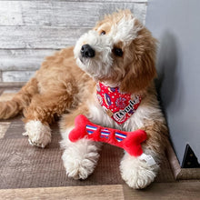 Load image into Gallery viewer, star sprinkled donut dog bandana
