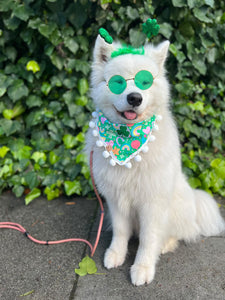 green lucky charms dog bandana