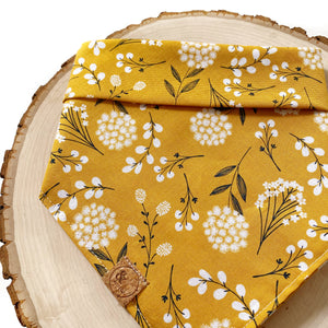 dandelion summer dog bandana