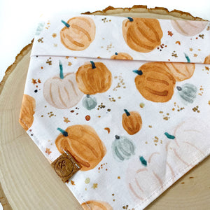 LAST CHANCE! pumpkins and patches dog bandana