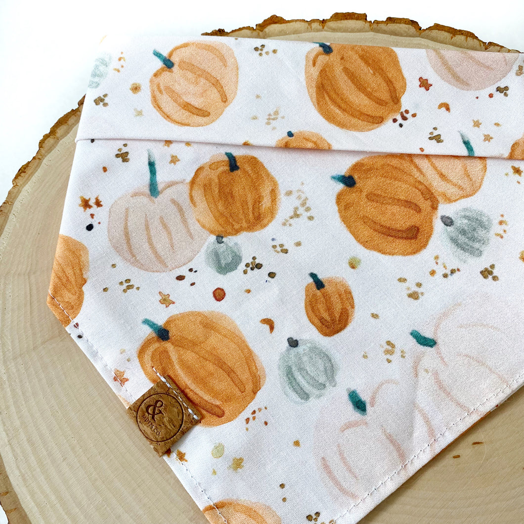 LAST CHANCE! pumpkins and patches dog bandana