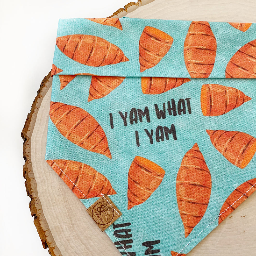 LAST CHANCE! i yam what i yam blue dog bandana