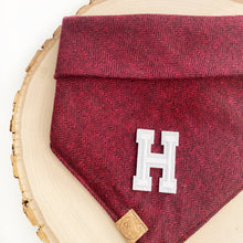 Load image into Gallery viewer, scarlet red letterman bandana
