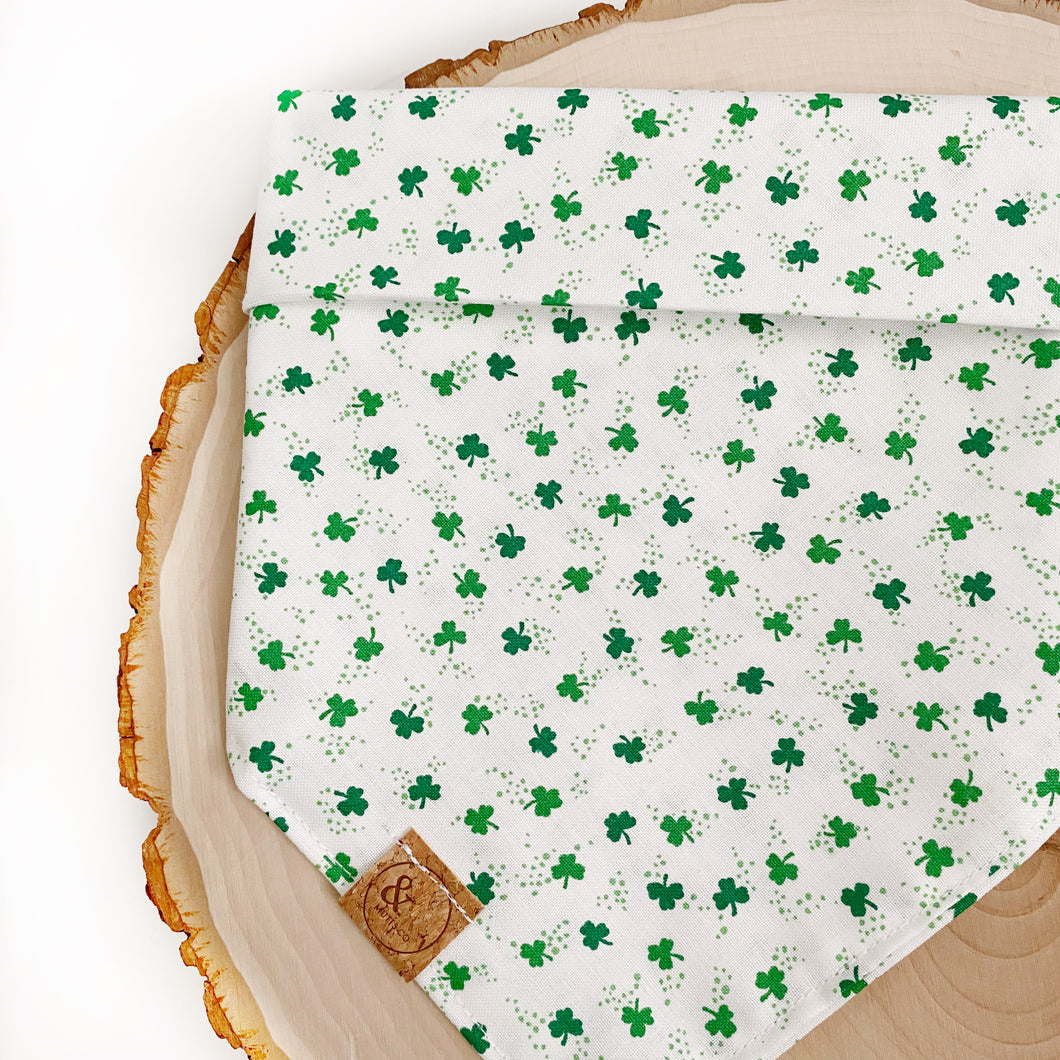 shamrock 'n roll dog bandana