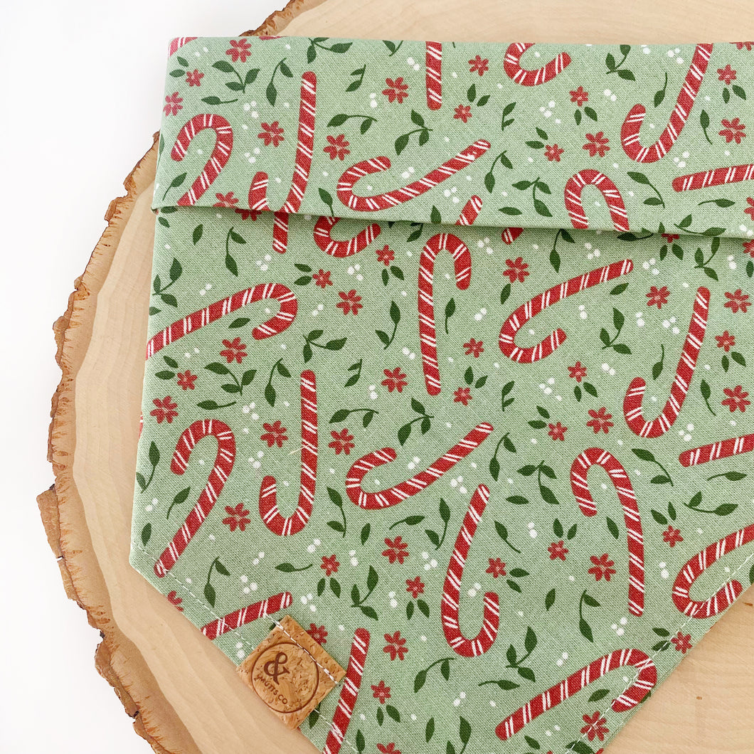 puppermint bark dog bandana