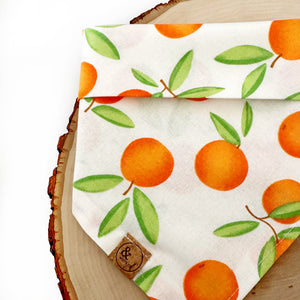 LAST CHANCE: LNY tangerine cutie dog bandana