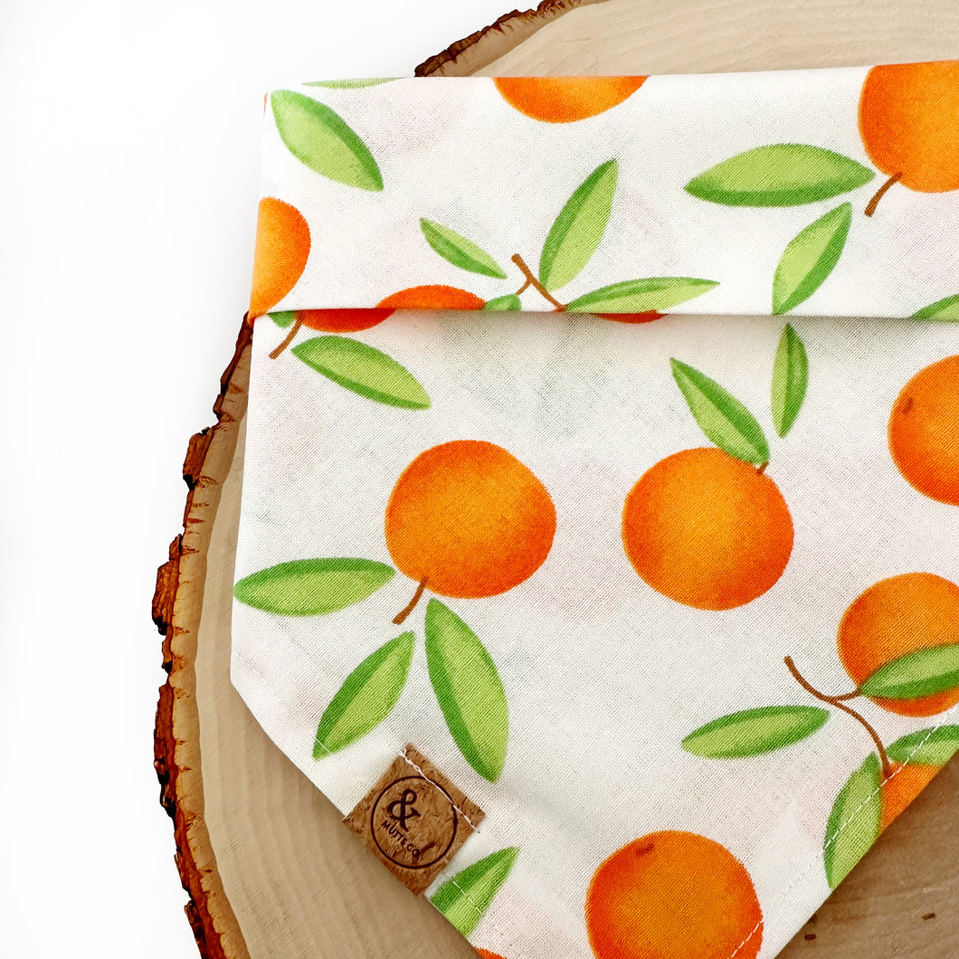 LAST CHANCE: LNY tangerine cutie dog bandana