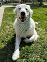 Load image into Gallery viewer, green apple gingham dog bandana
