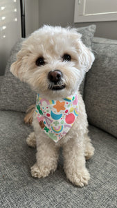 LAST CHANCE! lucky charms dog bandana (XS only)